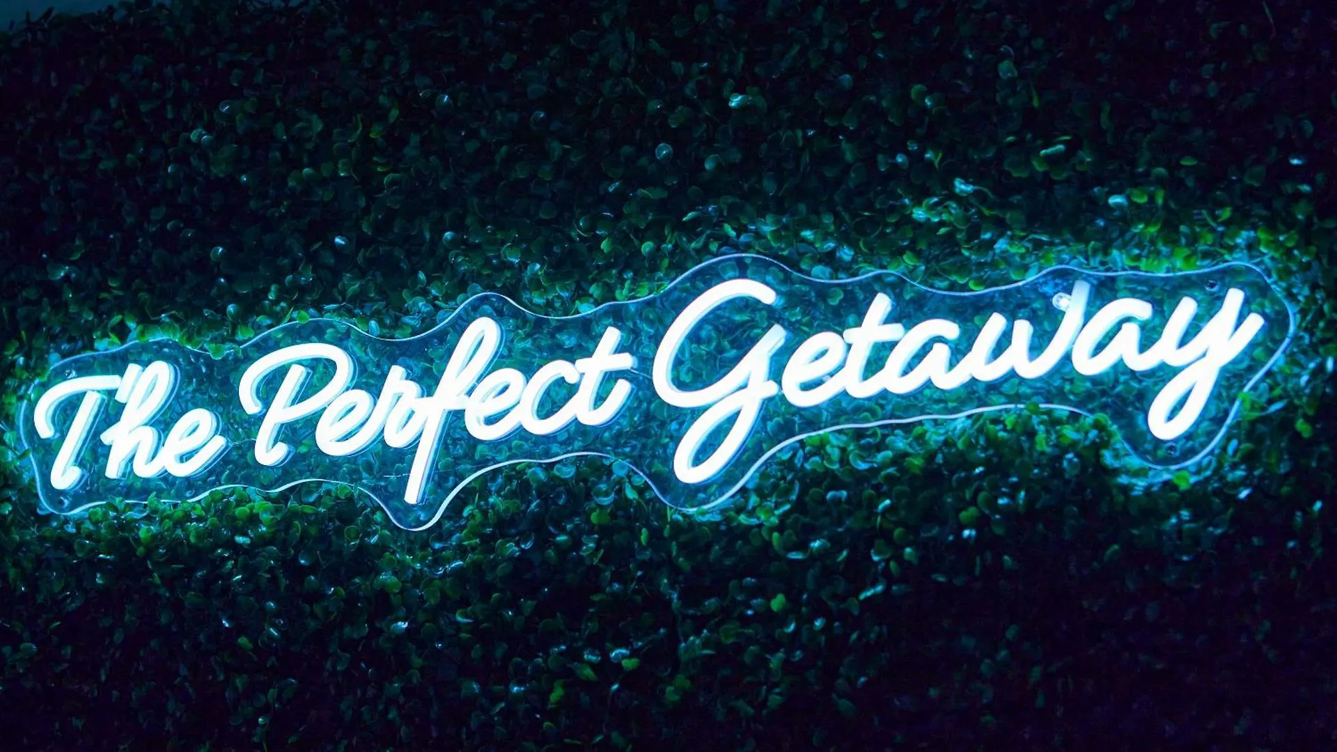 Perfect Getaway Rentals Llc Tampa